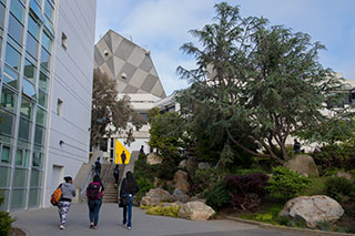 Students on walkway along rock garden on campus